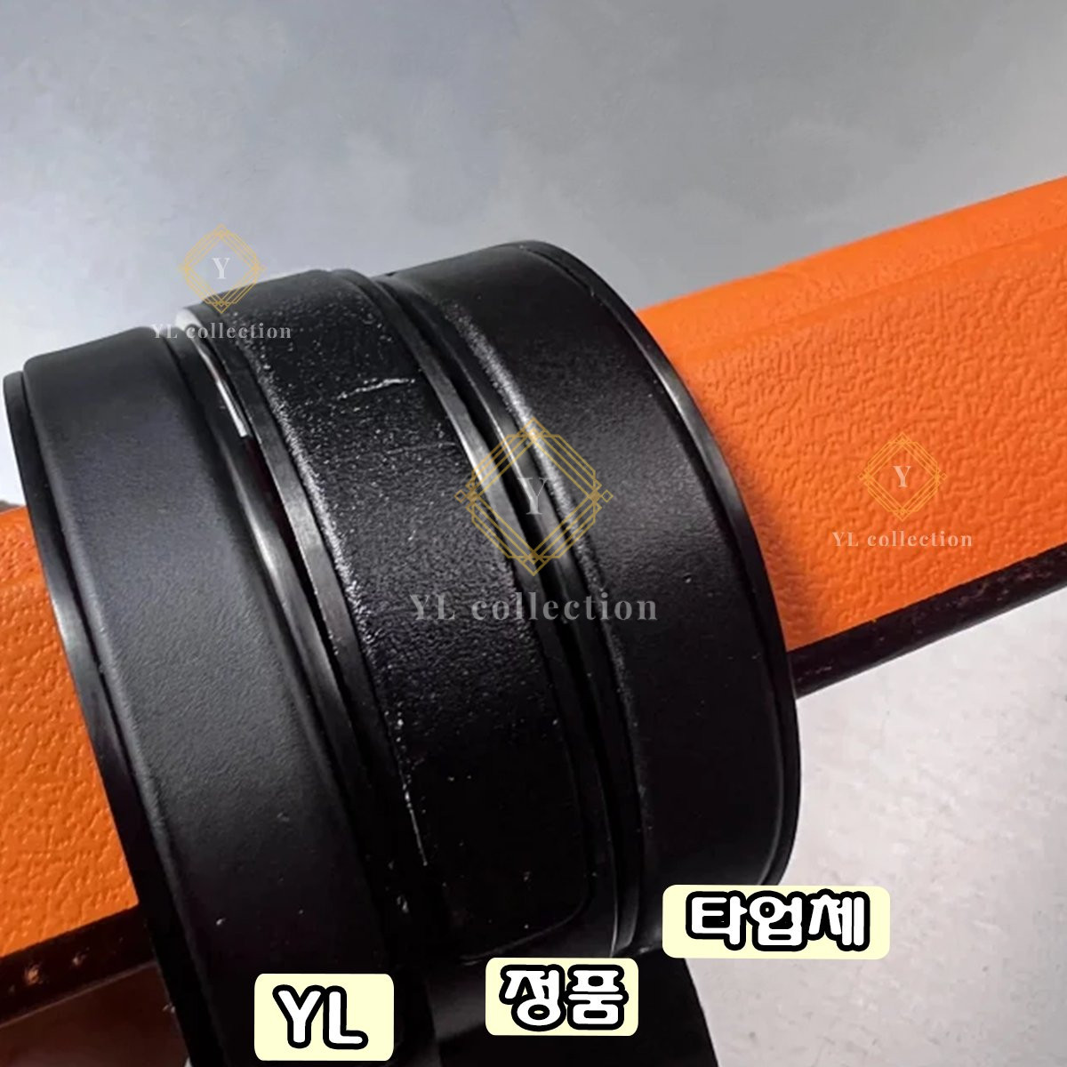 explan_3362_10.jpg