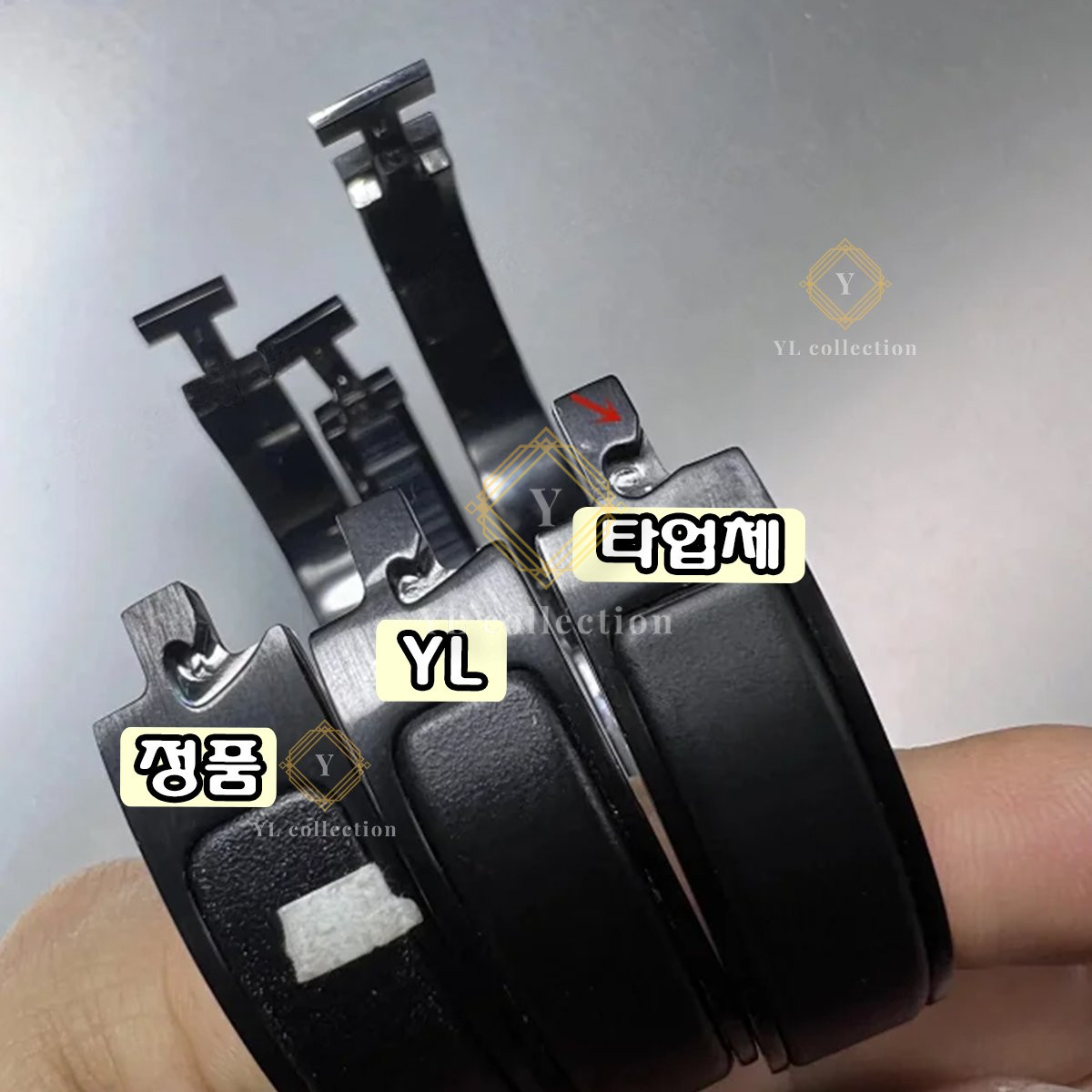 explan_3362_13.jpg